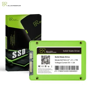 BR 256GB Internal SSD – Fast & Reliable Storage Upgrade